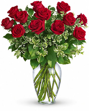Red Roses delivered in Bucharest and across Romania by a local florist