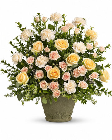 Rose Remembrance delivered in Auckland and across New Zealand by a local florist