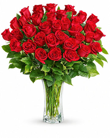 Three Dozen Red Roses delivered in Nicosia and across Cyprus by a local florist