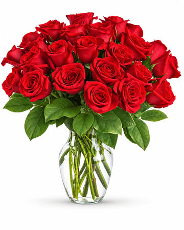 Two Dozen Red Roses delivered in Male and across the Maldives by a local florist