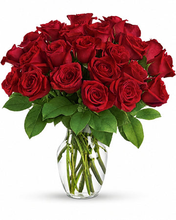 Two Dozen Red Roses delivered in Paris and across France by a local florist