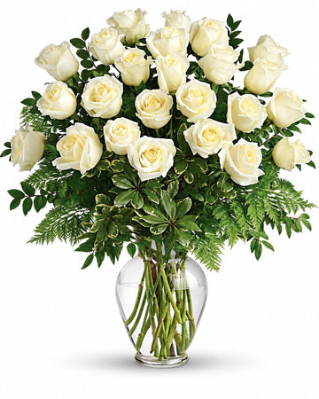 Two Dozen White Roses delivered in Port Louis and across Mauritius by a local florist