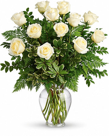 White Roses delivered in Nicosia and across Cyprus by a local florist