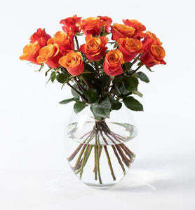 15 Golden Roses - abcFlora.com