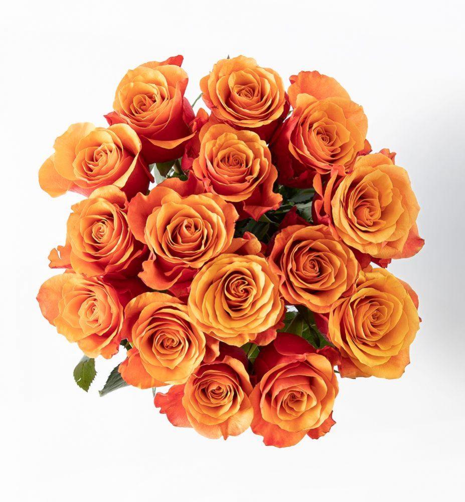 R Golden Roses 15 Golden Roses — Flower Delivery to Norway | abcFlora