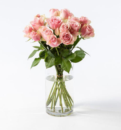 15 pink roses - abcFlora.com