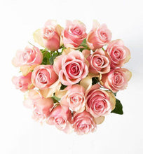 Load image into Gallery viewer, 15 pink roses - abcFlora.com