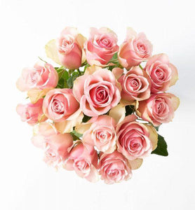 15 pink roses - abcFlora.com