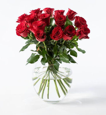 15 red roses - abcFlora.com