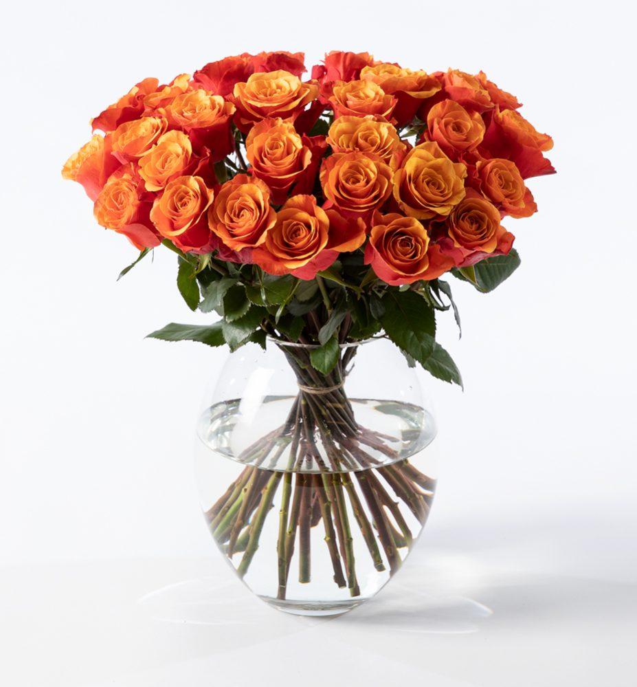 30 golden roses — Flower Delivery to Norway | abcFlora