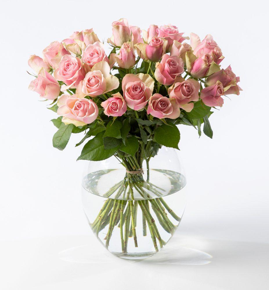 30 pink roses Norway - abcFlora.com