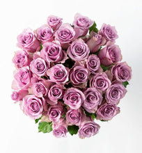 Cargar imagen en el visor de la Galería, 30 purple roses - abcFlora.com