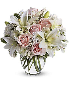 Arrive In Style - abcFlora.com