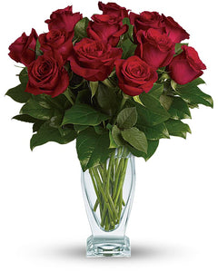 Dozen Red Roses - abcFlora.com