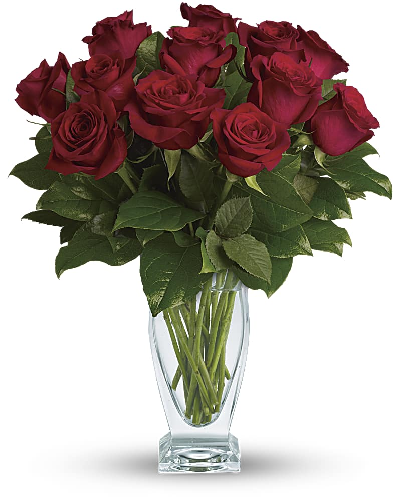Dozen Red Roses - abcFlora.com