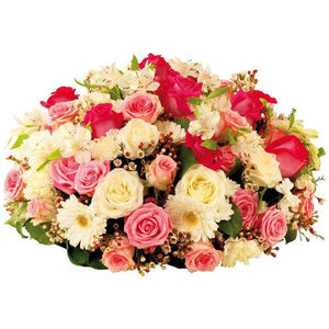 Instant Tendresse - abcFlora.com