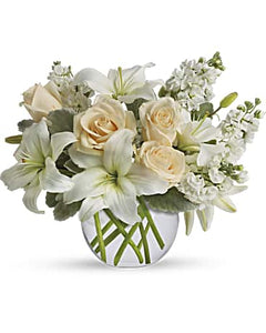 Isle of White - abcFlora.com