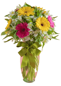 Mixed Gerberas - abcFlora.com