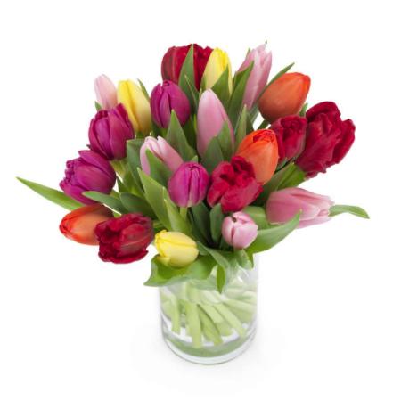 Mixed Tulips - abcFlora.com