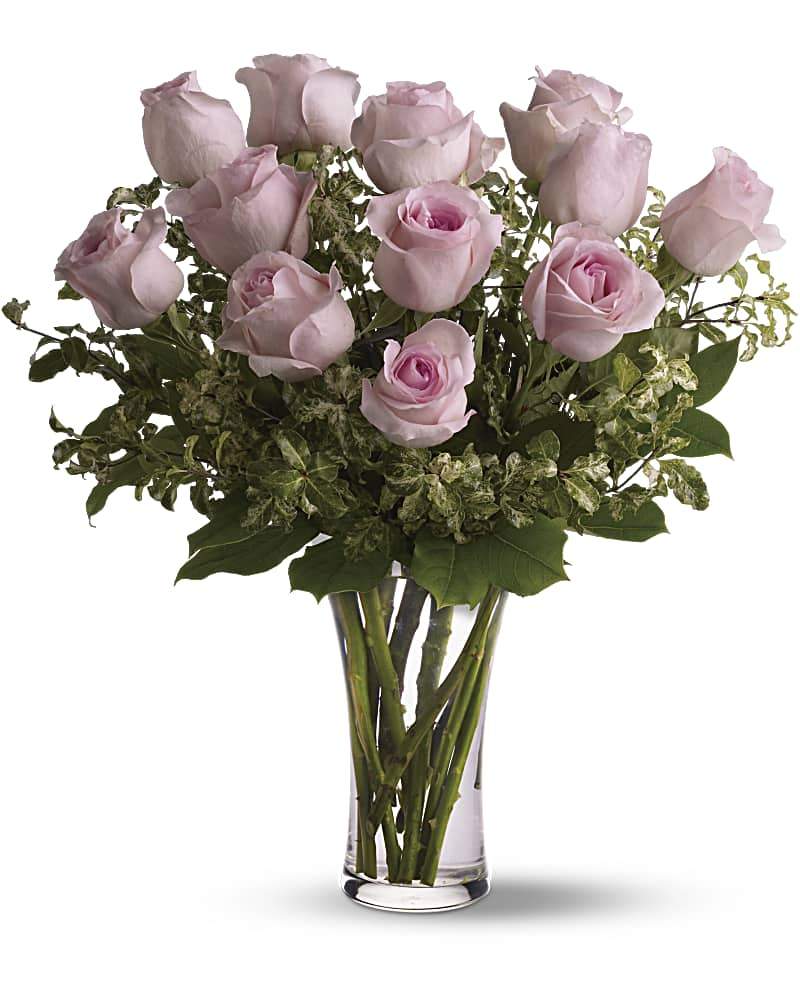 Pink Roses - abcFlora.com