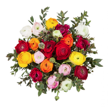 Load image into Gallery viewer, Ranunculus Gift Wrapped - abcFlora.com