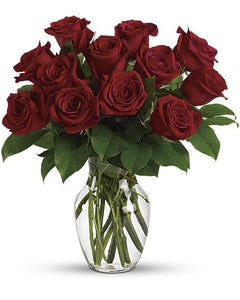 Red Roses - abcFlora.com