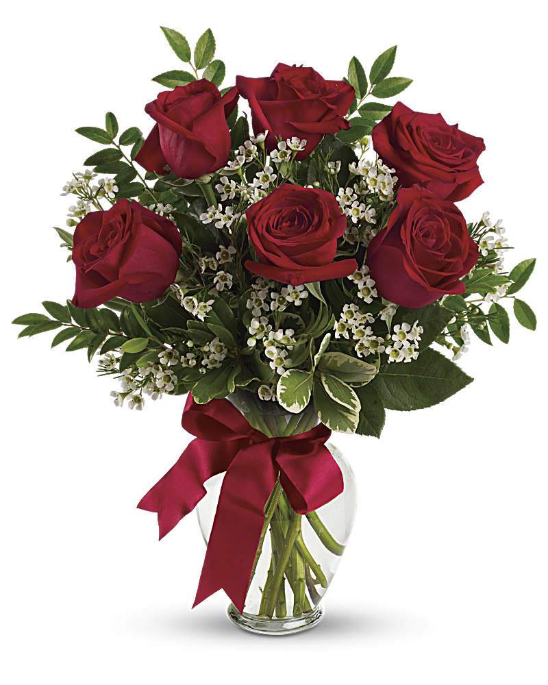 Six Red Roses - abcFlora.com
