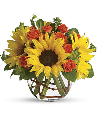 Sunny Sunflowers - abcFlora.com