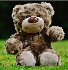 Teddy Bear - abcFlora.com