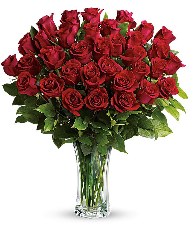 Three Dozen Red Roses - abcFlora.com