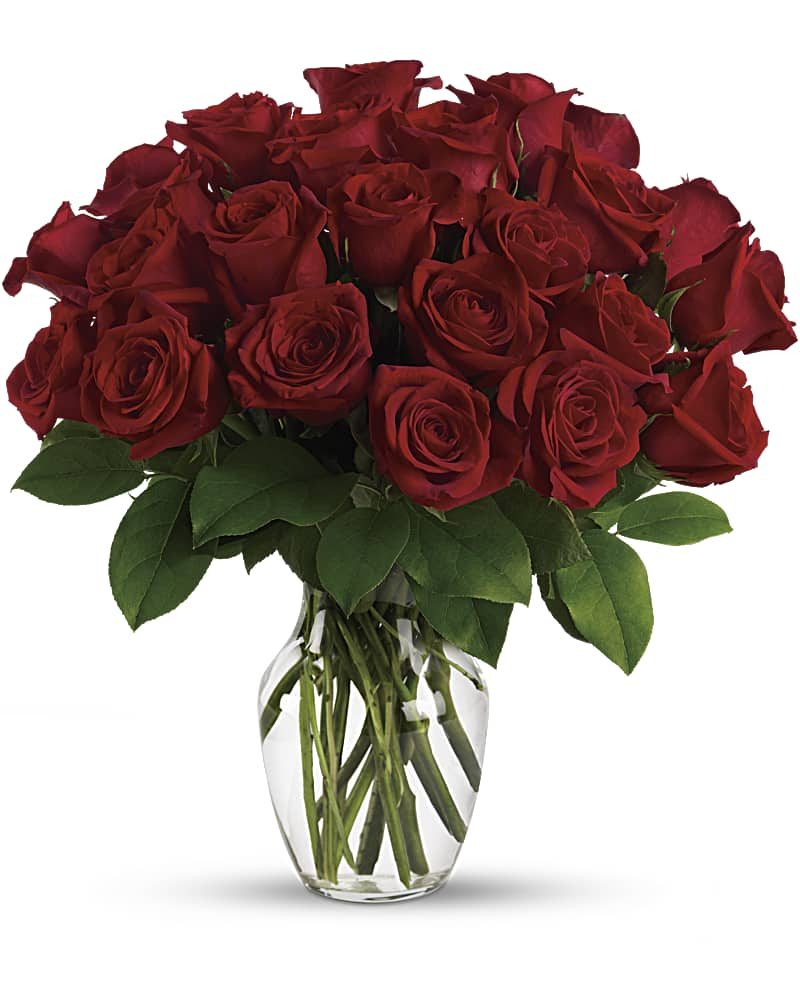 Red Roses Vased