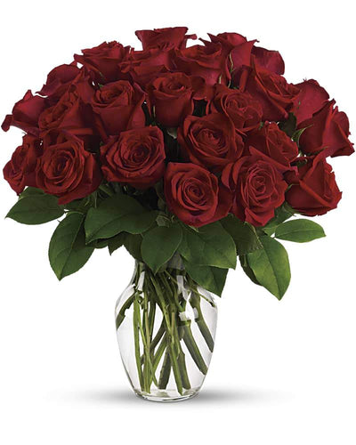Two Dozen Red Roses - abcFlora.com