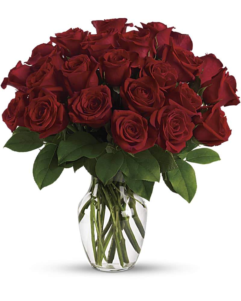 Two Dozen Red Roses Antigua - abcFlora.com