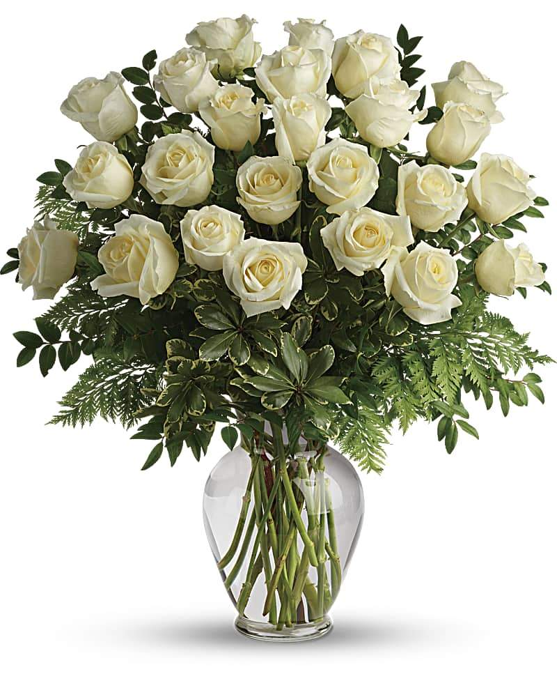 Two Dozen White Roses - abcFlora.com