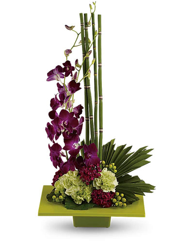 Zen Artistry - abcFlora.com