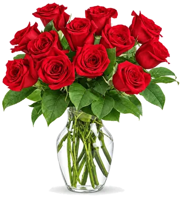Dozen Red Roses